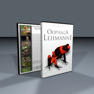 DVD Oophaga Lehmanni