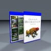 BD Oophaga ReadHead